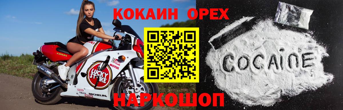 A-PVP Элиста