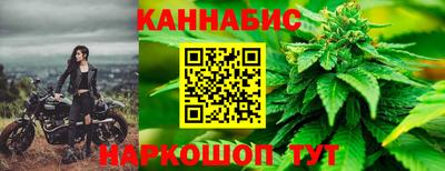 альфа пвп Кингисепп