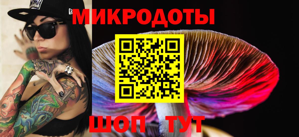 Элиста  наркотики  Вход с VPN  Псилоцибиновые грибы мицелий 